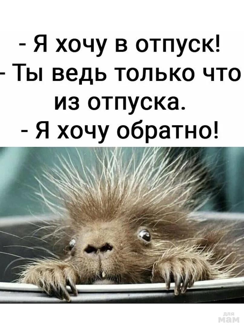 Отпустила на работу только с пустыми яйцами HD Отпустила на работу только с пустыми яйцами HD