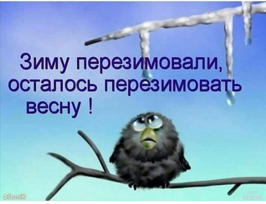 Это не зверь это приложение