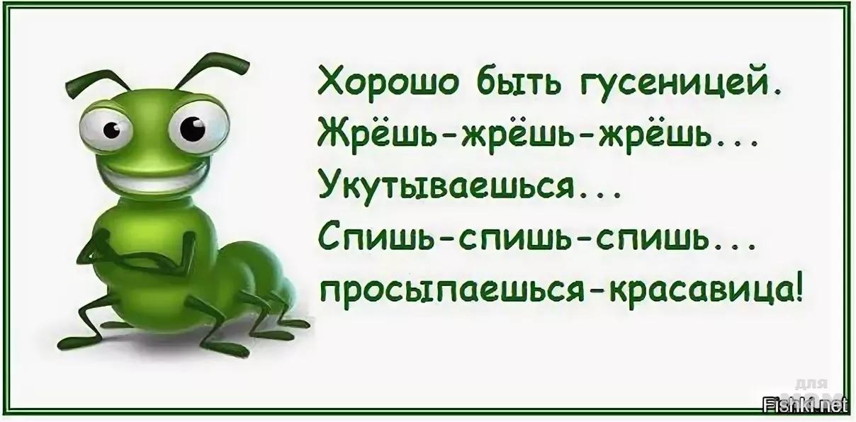 Звук жрешь жру. Хорошо быть гусеницей. Хорошо быть гусеницей жрешь жрешь. Хорошо быть гусеницей жрешь жрешь картинка. Смешная картинка хорошо быть гусеницей.