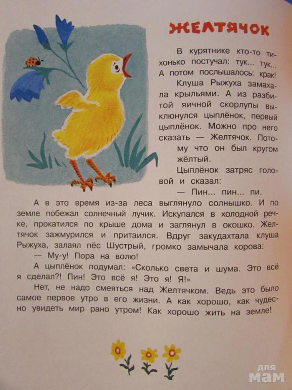 Балл рассказ. Рассказ г балла желтячок с иллюстрациями. Расскраз г. балла «желтячок». Чтение рассказа г балла желтячок. Иллюстрации к рассказу желтячок.