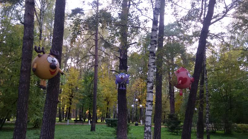 Ногинский городской. Городской парк Ногинск. Ногинский парк культуры. Ногинск городской парк арка. Ногинский парк аттракционов.