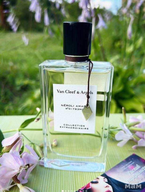 Нероли амара. Van Cleef Arpels духи Neroli Amara. Neroli Amara van Cleef 7,5. Ван Клиф Занзибар. Парфюм намбер Ван.